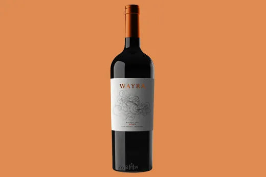 95 Point Vintage: 2018 Wayra Estate Uco Valley Mendoza Malbec