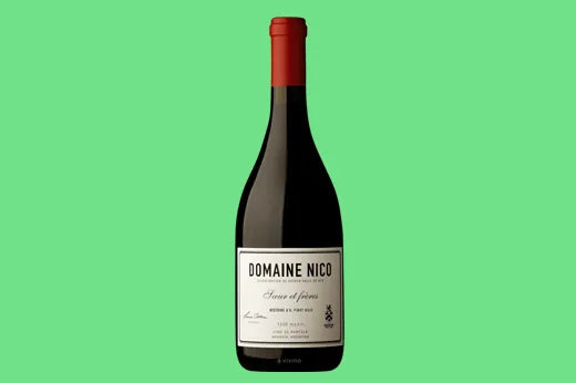 96 Point Vintage: 2019 Domaine Nico Histoire D'A Pinot Noir