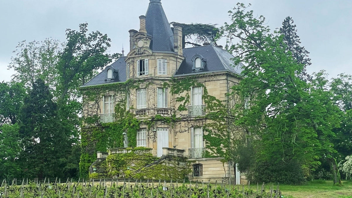 Ivy-covered French chateau with slate turret roofs standing behind rows of vines