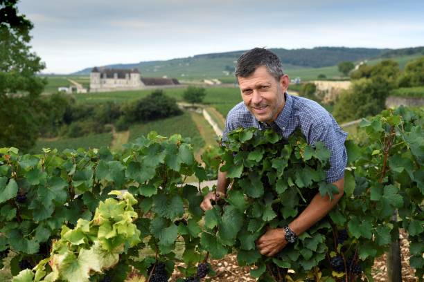 Domaine Georges Roumier
