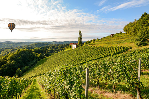 Hot air balloon over green hillside vineyards with a small white chapel and rolling hills