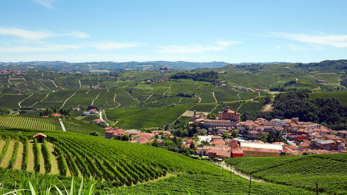 Hilltop village ringed by green vineyard hills under a blue sky