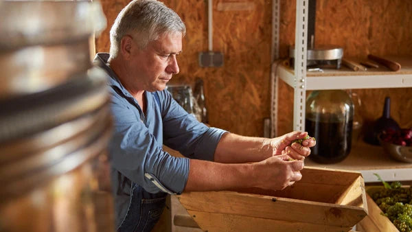 From Botti to Steel: Mastering Italian Wine-Aging Methods