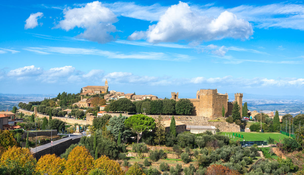 Italian Wine Ambassador’s Insider Notes on the 2019 Brunello di Montalcino Vintage Blog - Big Hammer Wines