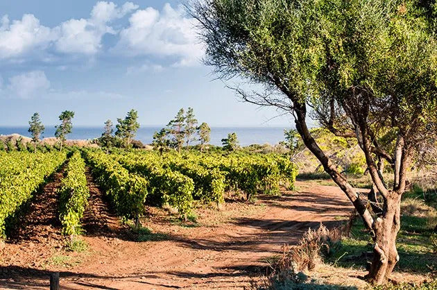 12 Best Red Wines Under $25 You Can Buy Right Now at BHW