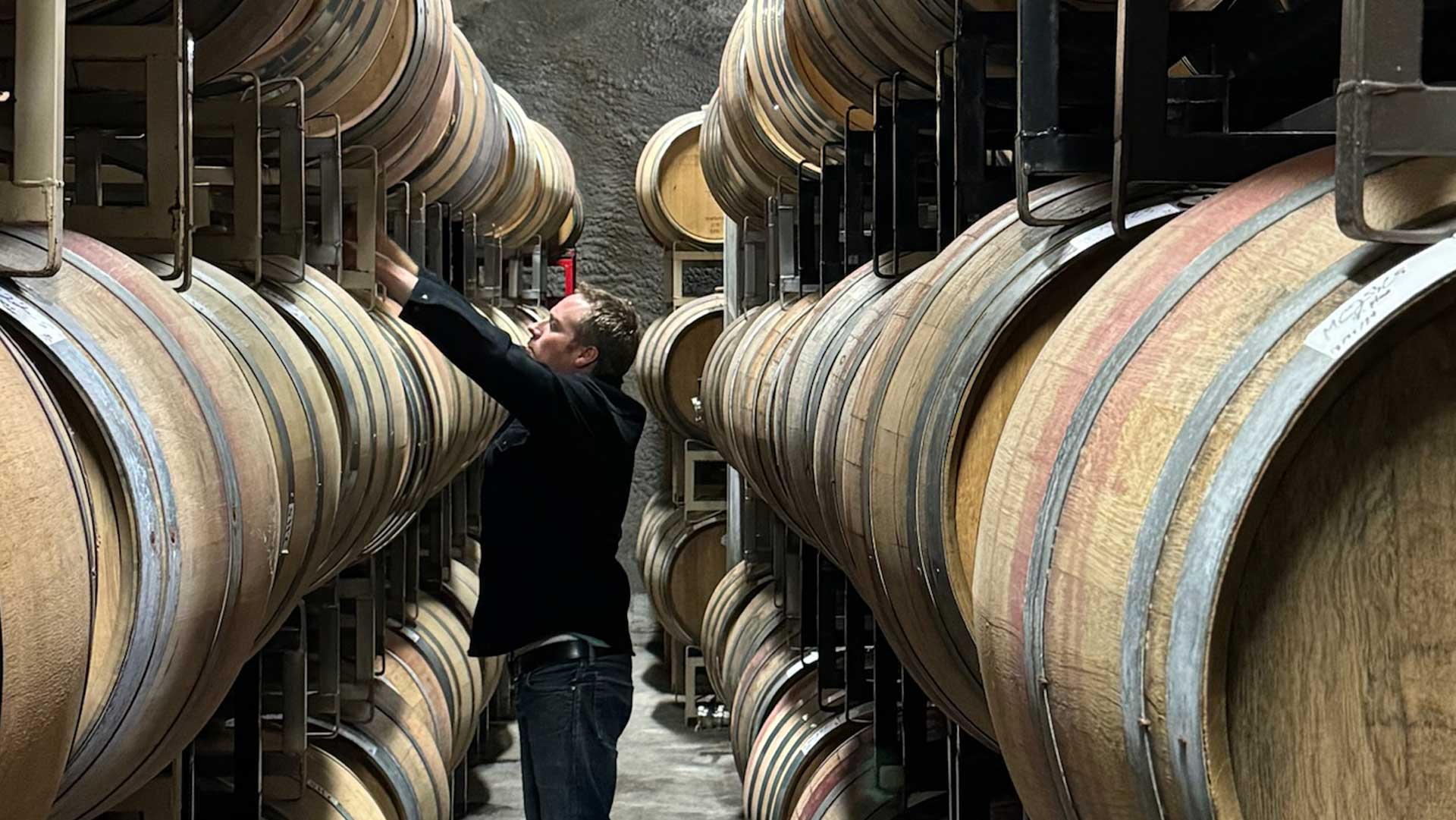 Vinous Media’s 10-Year Retrospective: How 2014 Napa Cabernet Became a Dark Horse