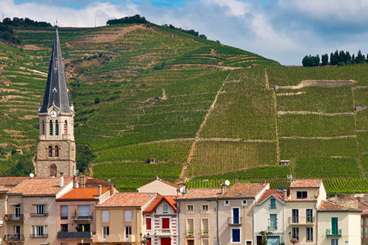 Village rooftops and a church steeple below a steep terraced vineyard hillside