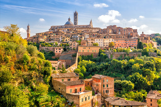 Hilltop Tuscan town with a striped cathedral and bell tower above wooded green slopes