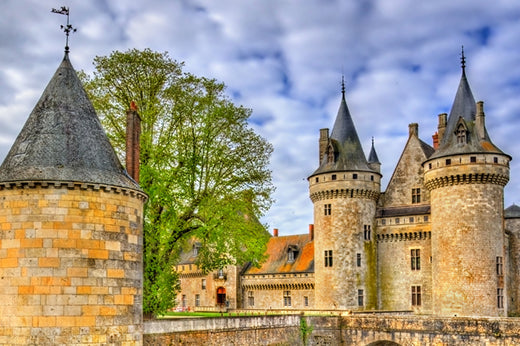 Turreted stone chateau with conical slate roofs and green trees in the Loire Valley