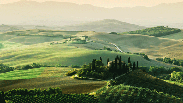 Rolling green hills with a hilltop farmhouse ringed by cypress trees in morning haze