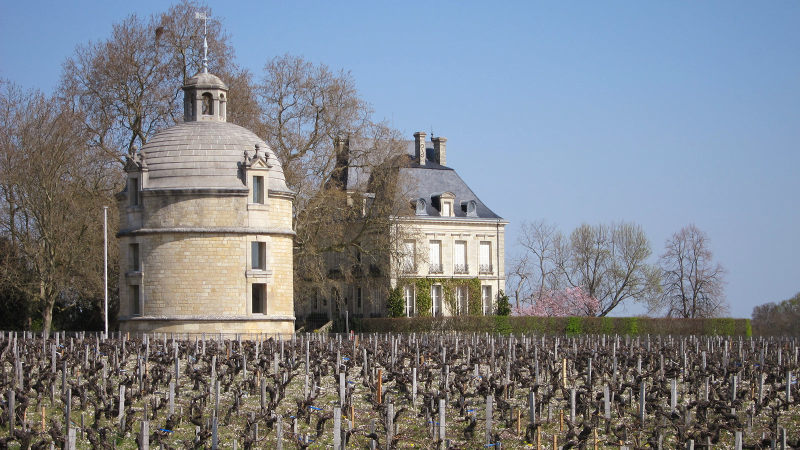 Chateau Latour