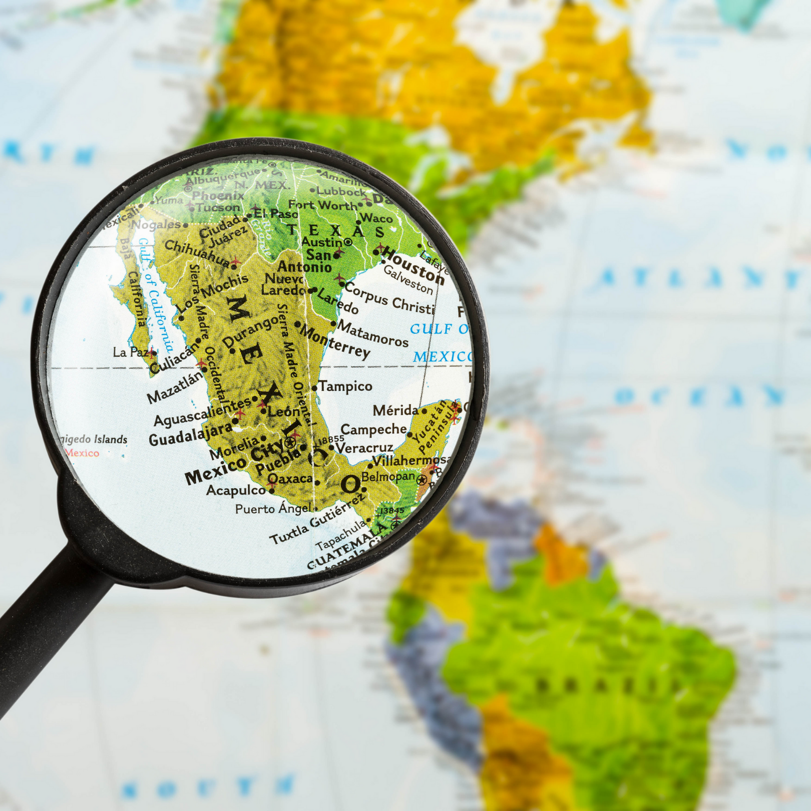 Todo sobre México: REGIÓN VITIVINÍCOLA