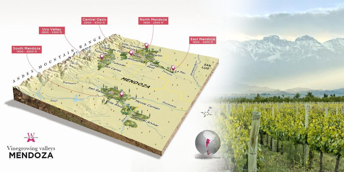 Relief map of Mendoza, Argentina wine valleys labeled North, Central, East, South and Uco, beside the Andes