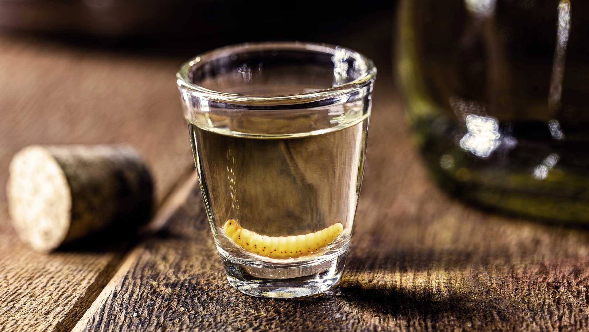A shot of mezcal with a worm inside of it.