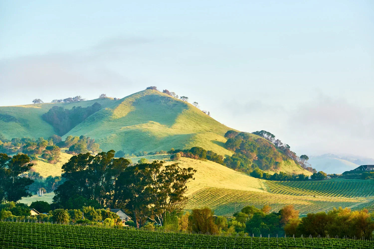 Wine Travel Guide : Napa Valley, California, USA