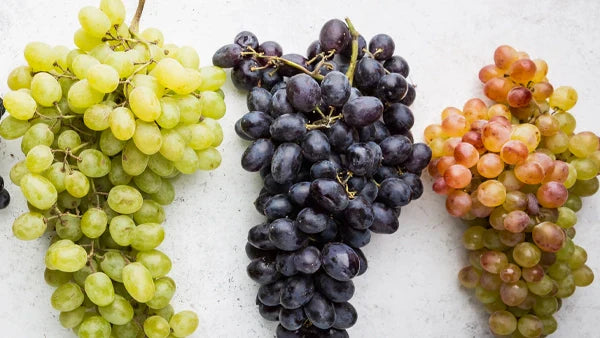 PIWI Wines: The Future of Wine?