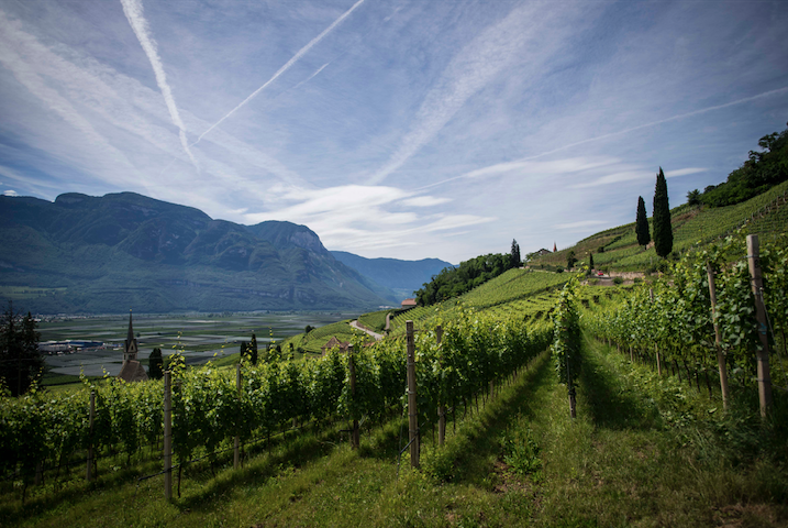 A Detailed Review of Italian Wine Regions, By Italian Wine Expert