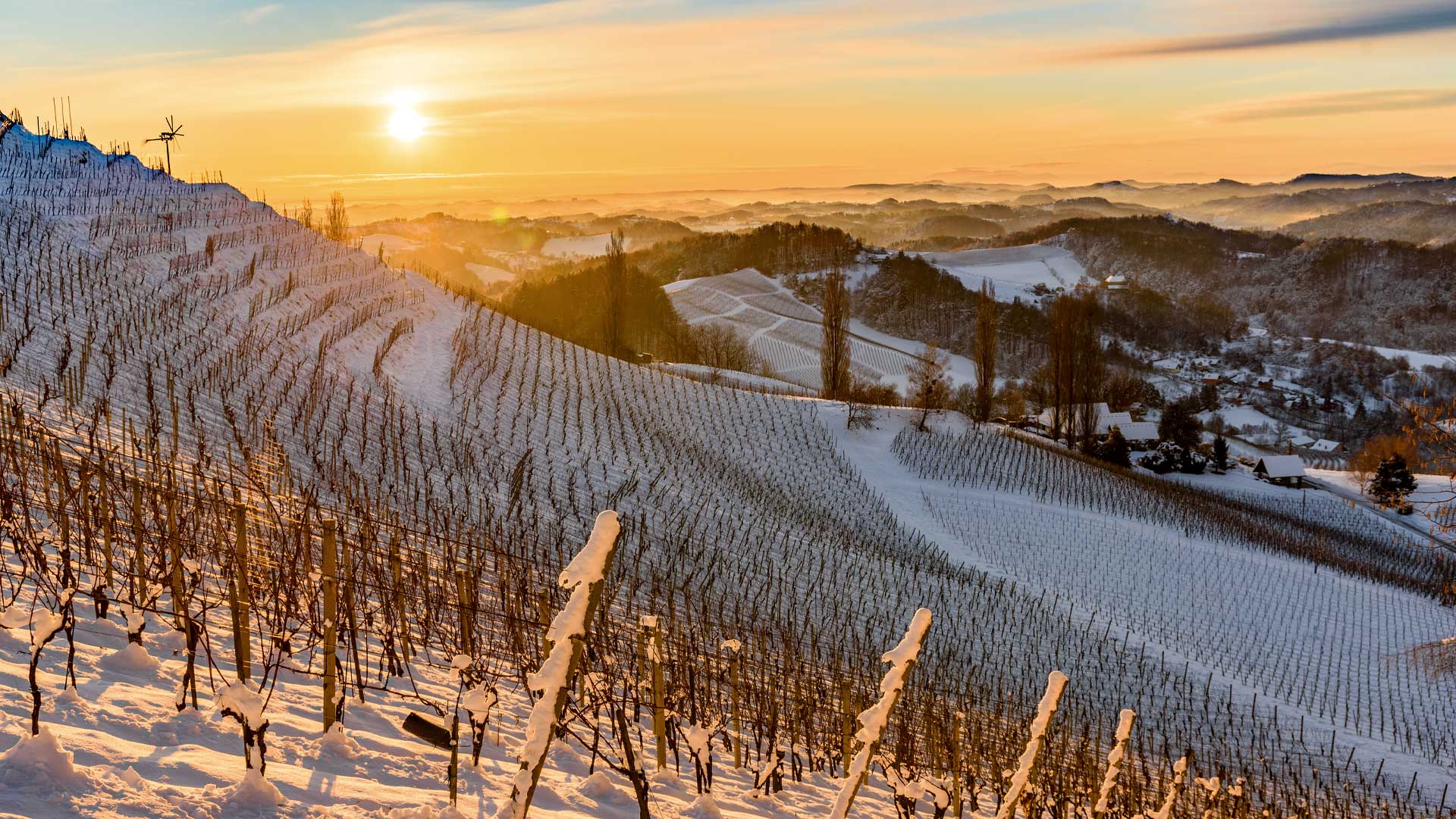 EU Winemakers Heading for the Hills: Climate Change Rewrites the Wine Map