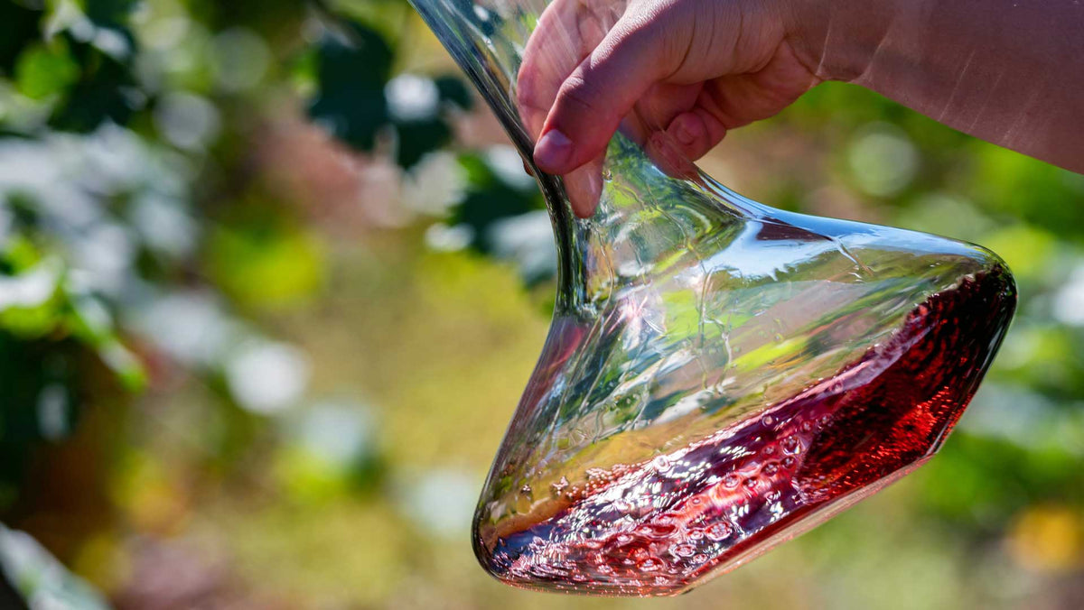 Hand tilting a glass decanter of red wine outdoors against sunlit green foliage