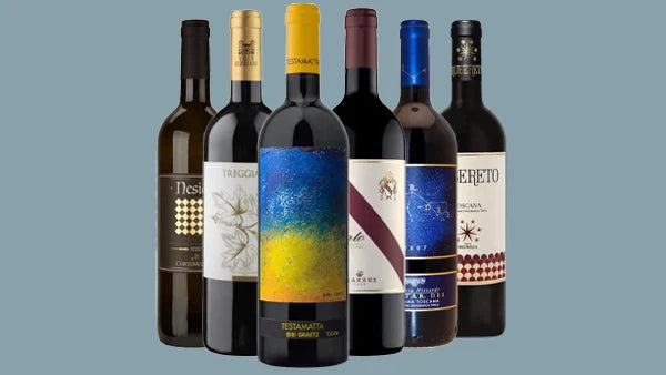 Six wine bottles fanned out on a blue-grey background, labels including DesioS, Treggiaia and Rubereto