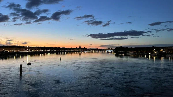 Top 12 Bordeaux Wines Available at BHW Now!