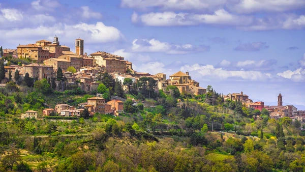 Understanding the Difference Between Montepulciano and Montepulciano d'Abruzzo (once and for all)
