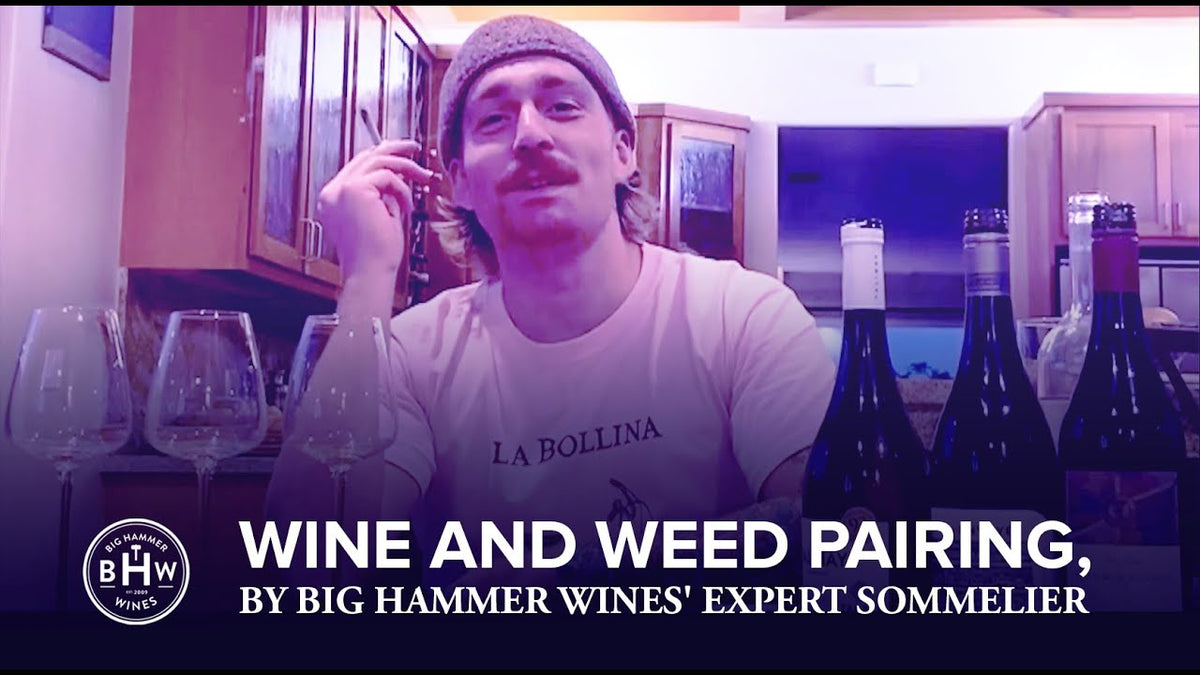 Graphic reading "Wine and Weed Pairing, by Big Hammer Wines' Expert Sommelier" over a seated man