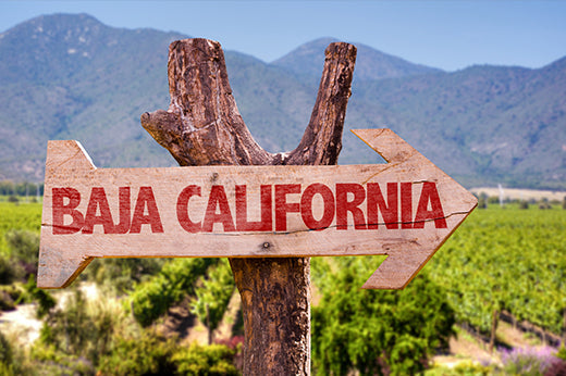 Wooden arrow sign reading "Baja California" in front of a vineyard and hills
