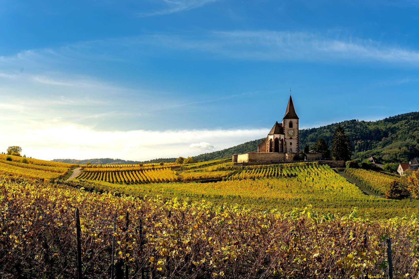 Alsace: France's Most Germanic Region and Its Easiest Label to Read