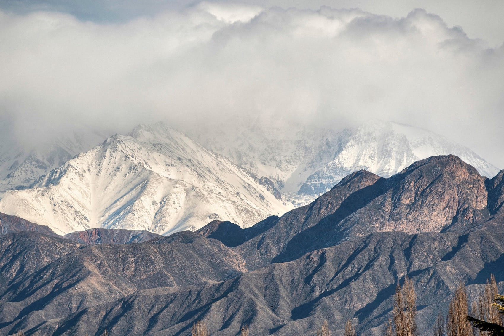 Argentine Wine: Malbec, Altitude, and the Andes Effect