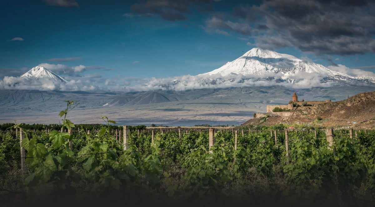 Khor Virap monastery beneath snow-capped Mount Ararat with vineyards in the foreground, Armenia