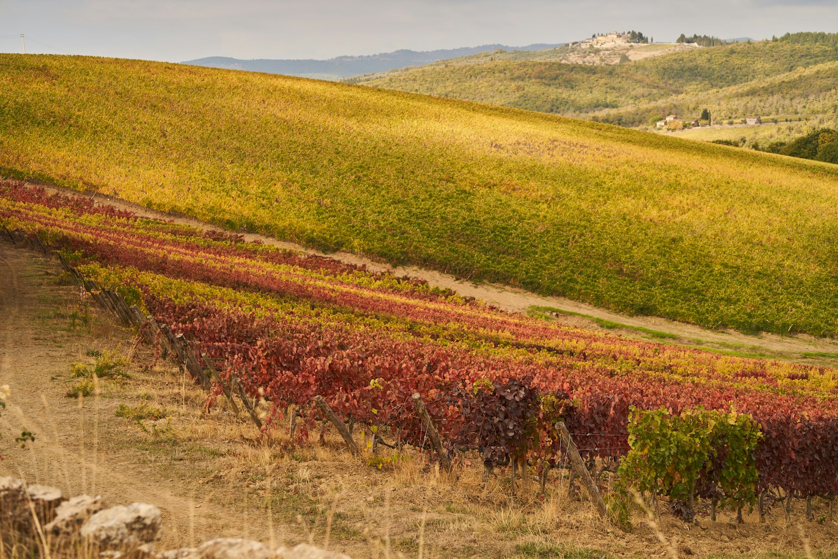 Emilia-Romagna: Real Lambrusco and the Food Capital of Italy