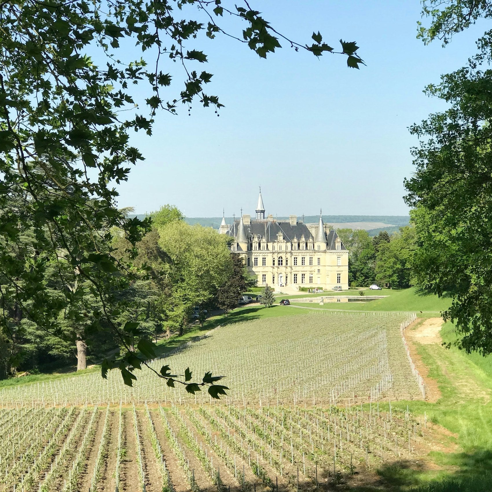 Loire Valley Wine: France's Longest Wine List