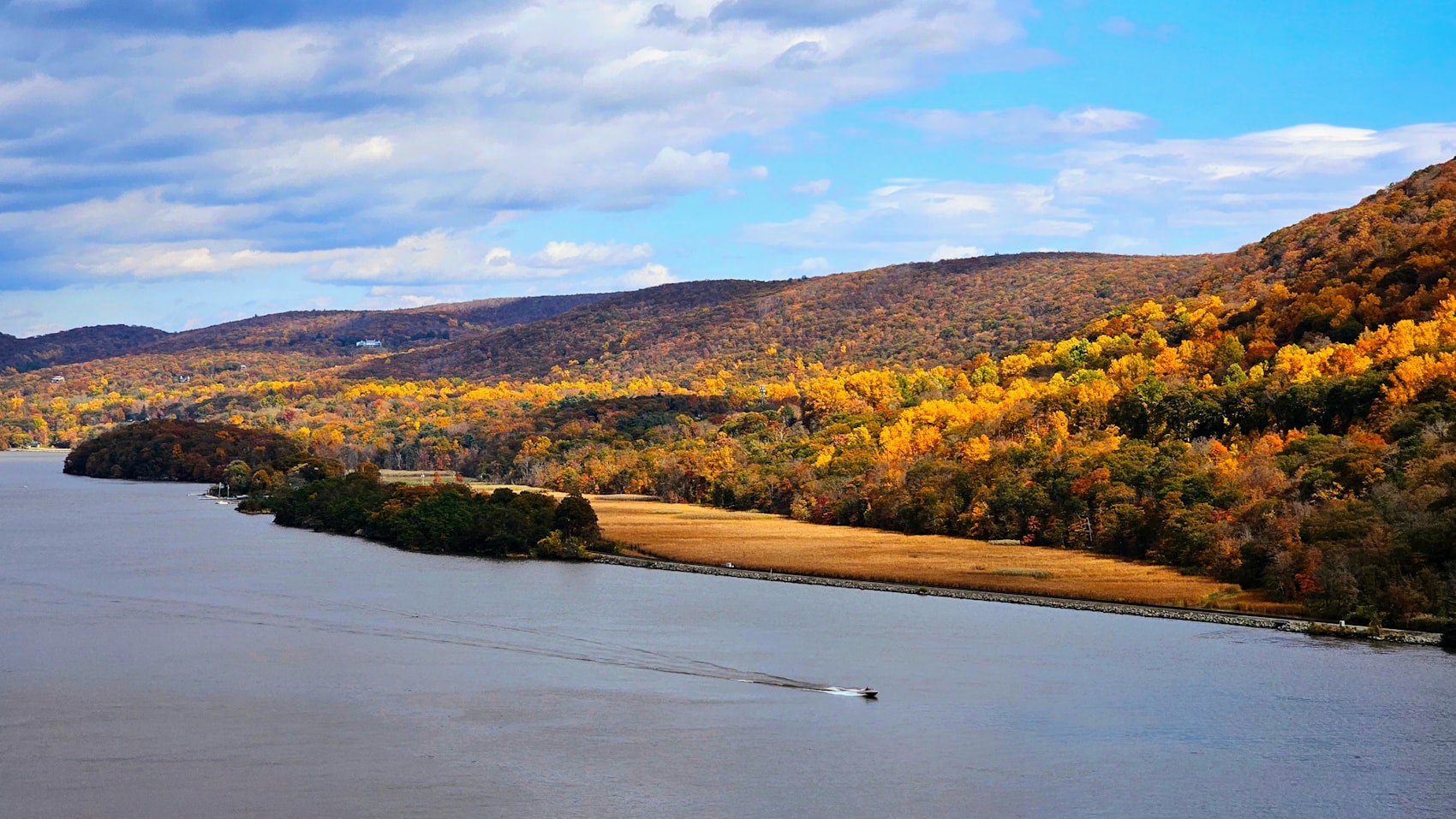 New York Wine: Glacial Lakes, Riesling Nerve, and the Doctor Who Proved Everyone Wrong