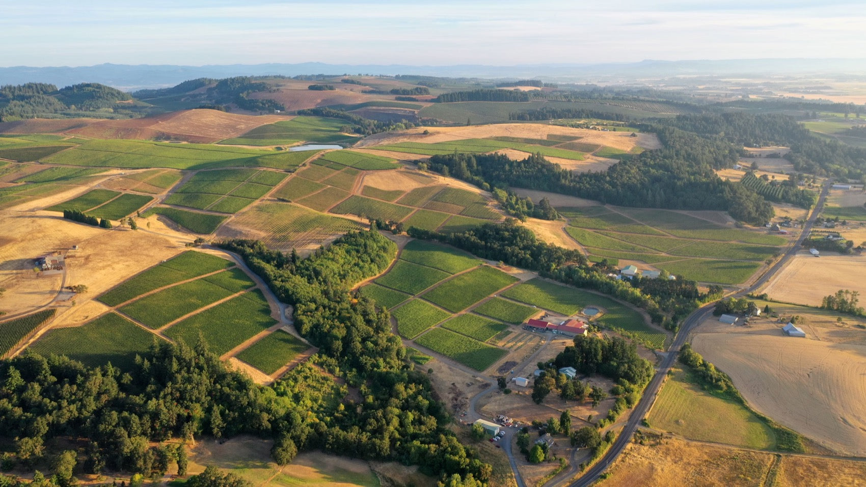 Oregon Wine: Pinot Noir at the 45th Parallel