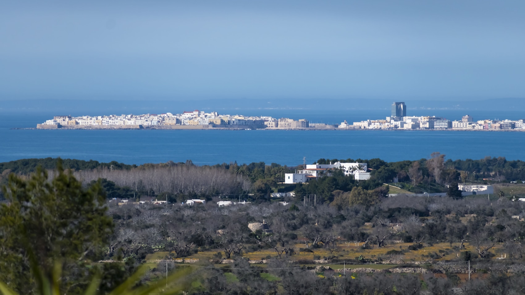 Olive groves above the Ionian coast with a whitewashed old town across the water in Puglia