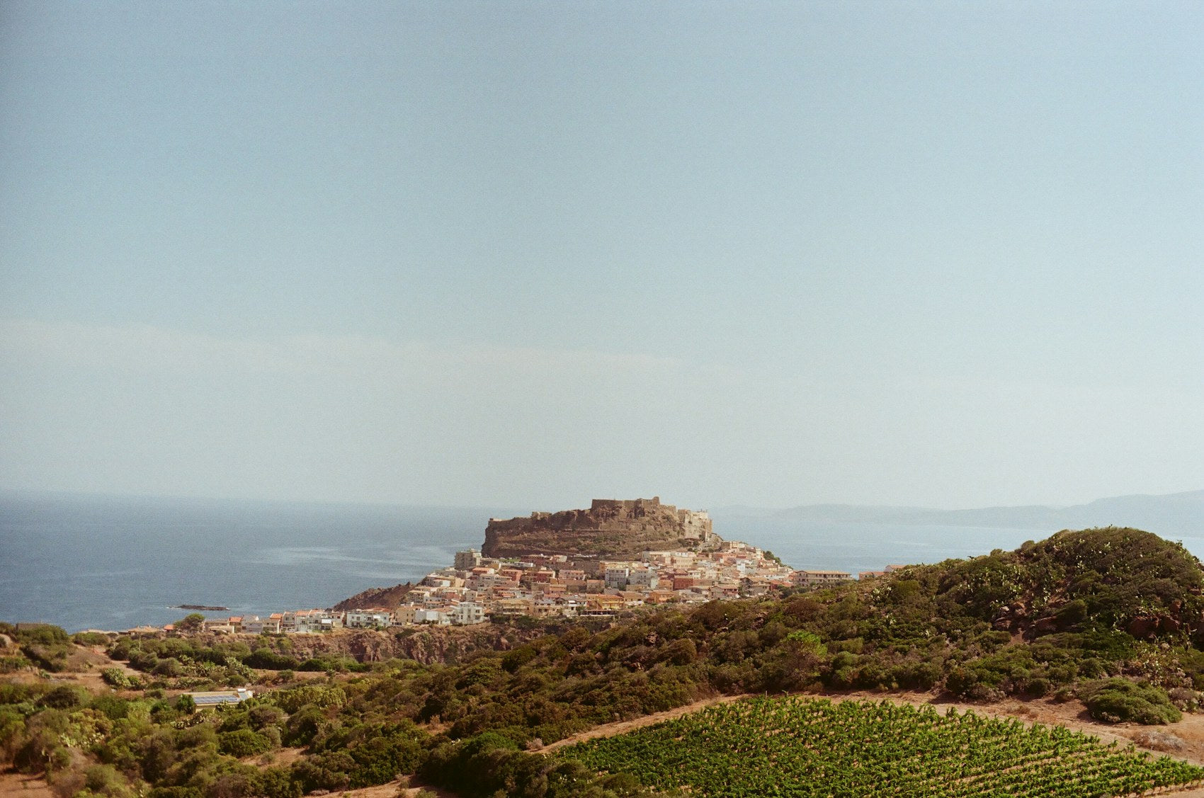 Sardinia: Cannonau, Vermentino and an Island Apart