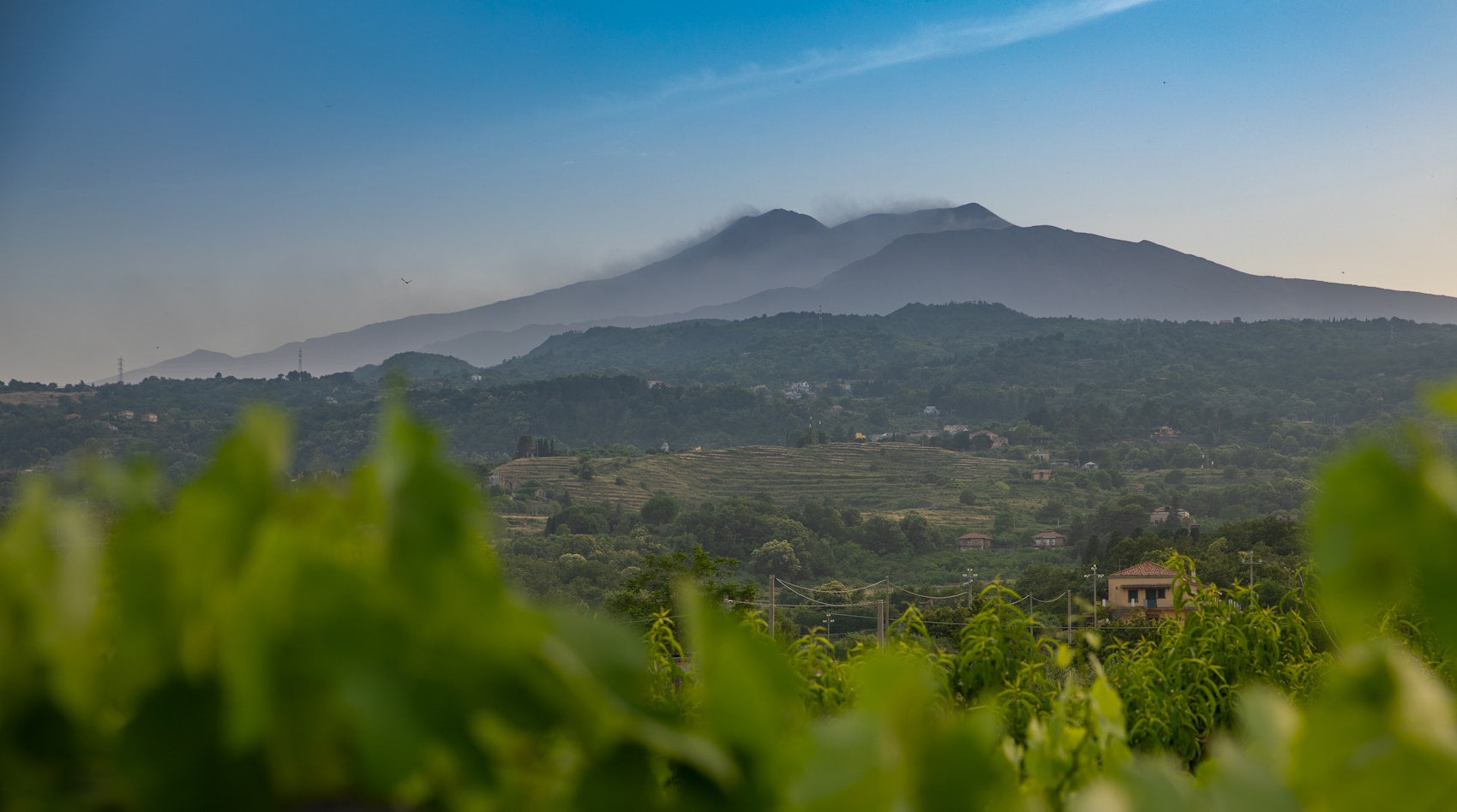 Sicilian Wine: Etna's Volcanic Cru System and the Island Beyond
