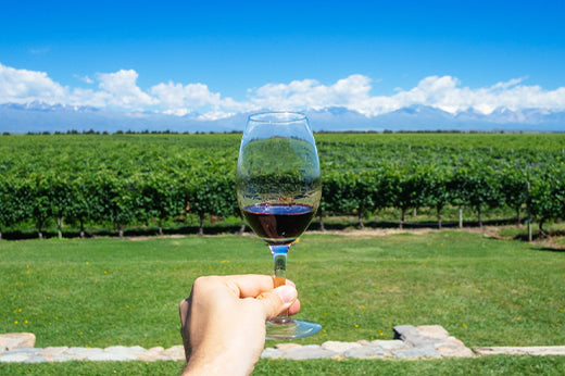 Hand holding a glass of red wine in front of vineyard rows and the snow-capped Andes, Mendoza