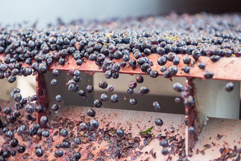 The Best Wines To Drink In 2019