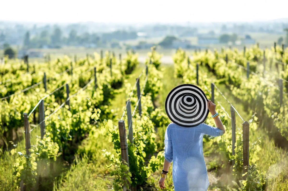 Woman in a blue dress and striped sun hat walking between sunlit vineyard rows
