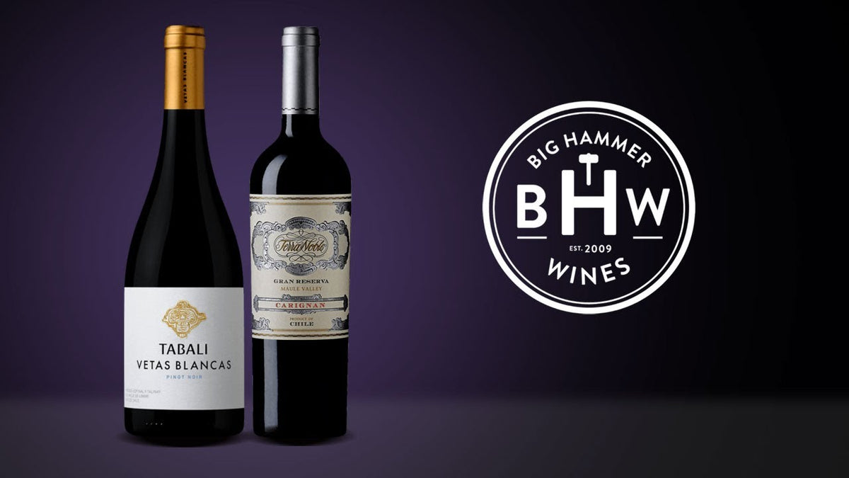 Bottles of Tabali Vetas Blancas and a second red wine beside the Big Hammer Wines logo