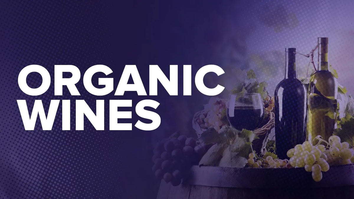 Graphic reading "Organic wines" over wine bottles, grapes and a barrel