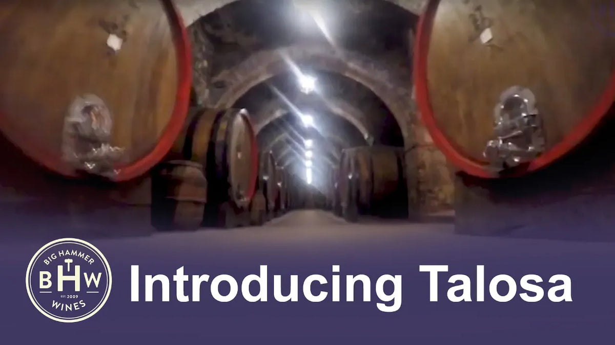Graphic reading "Introducing Talosa" over a barrel cellar, with Big Hammer Wines logo