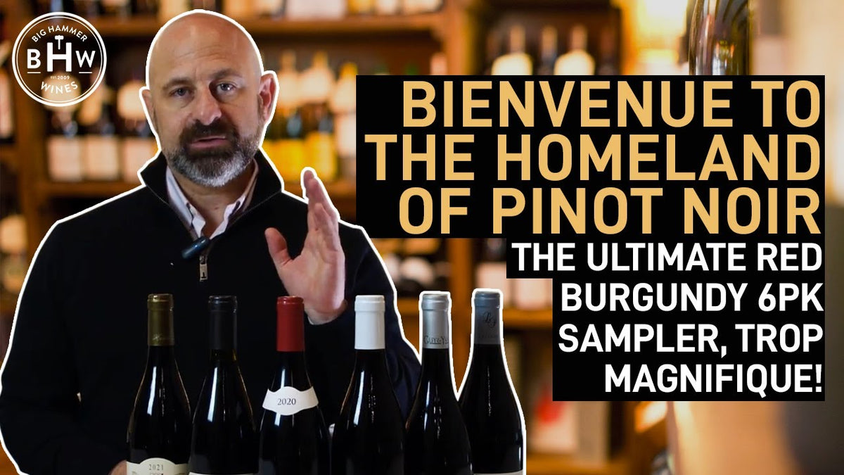 Man gesturing beside six red Burgundy bottles, text "Bienvenue to the homeland of Pinot Noir"