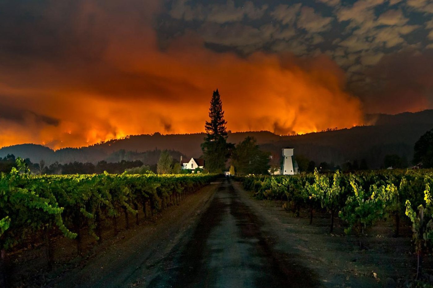 Napa Valley Fire approaching Robert Mondavi Winery