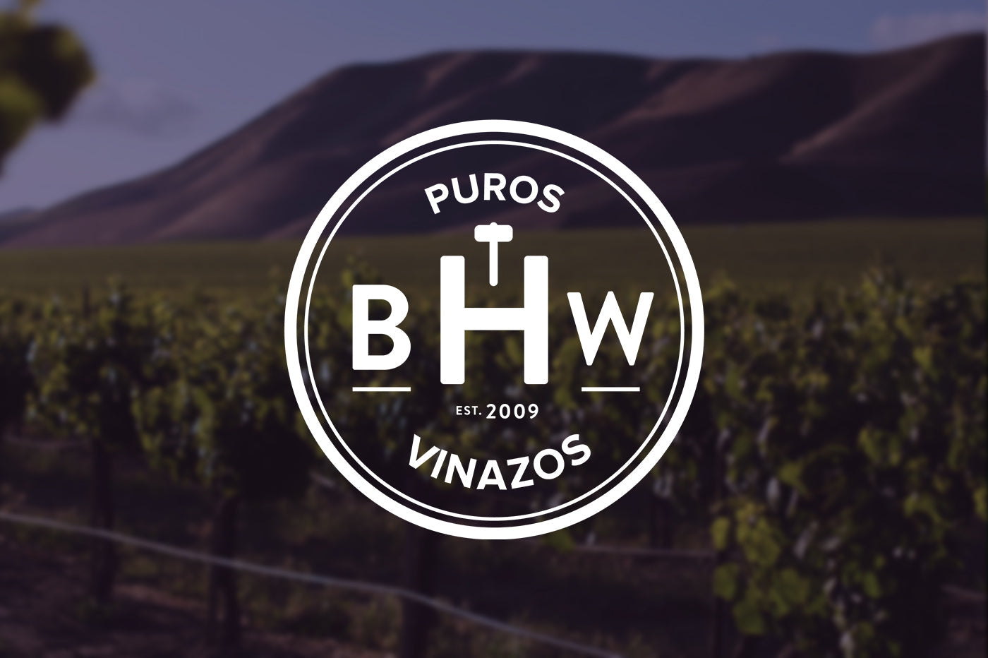 new website just for spanish-speaking wine lovers