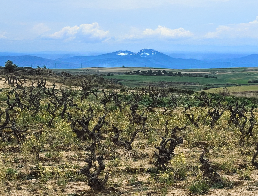 Rioja