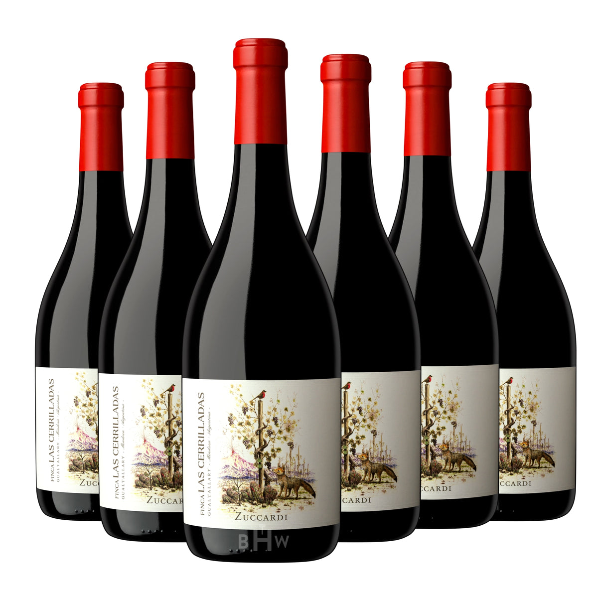 Six bottles of 2020 Zuccardi 'Finca Las Cerrilladas' Gualtallary Uco Valley Malbec red wine. Curated by Big Hammer Wines.