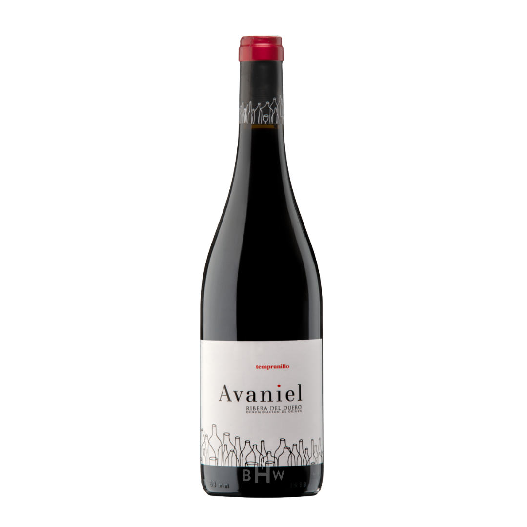 2021 Bodegas Monteabellon Avaniel Ribera del Duero Tinto